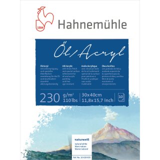 Hahnemühle Öl- und Acrylmalkarton 230 g/m² Größe: 30 x 40 cm / Blockinhalt: 10 Blatt