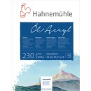 Hahnemühle Öl- und Acrylmalkarton 230 g/m²...