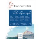 Hahnemühle Öl- und Acrylmalkarton 230 g/m²...