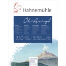 Hahnemühle Öl- und Acrylmalkarton 230 g/m²...