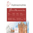 Hahnemühle Akademie Aquarellkarton Britannia Aquarellblock, satinierte Oberfläche. 300 g/m² Größe: 24 x 32 cm / Blockinhalt: 12 Blatt