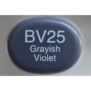 BV 25