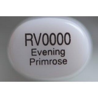 RV 0000