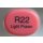 R 22