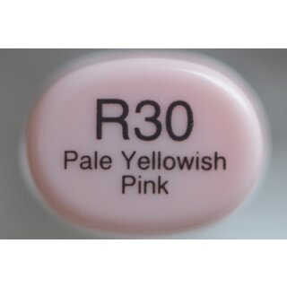 R 30