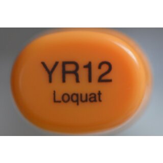 YR 12