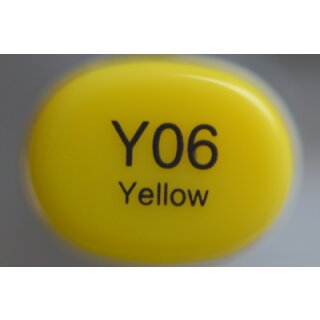 Y 06