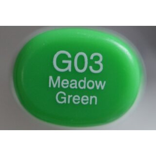 G 03