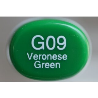 G 09