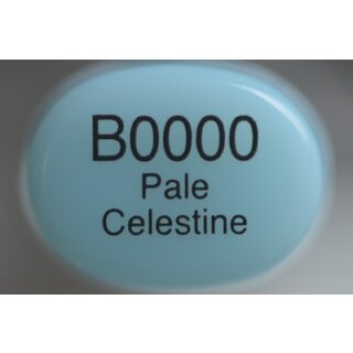 B 0000