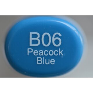 B 06