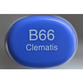 B 66