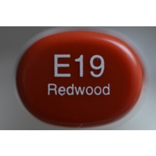 E 19
