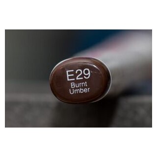 E 29