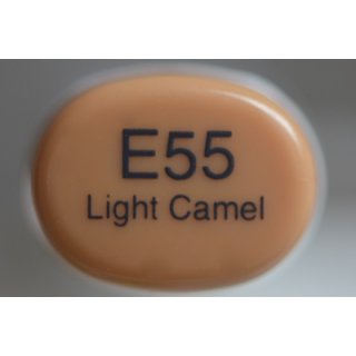 E 55