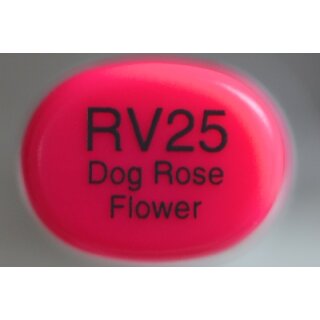 RV 25