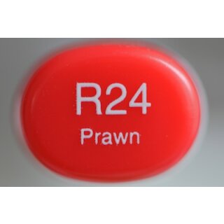 R 24