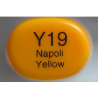 Y 19