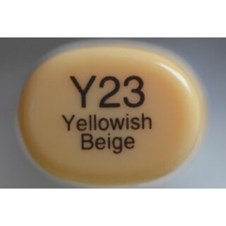 Y 23