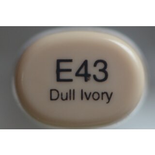 E 43