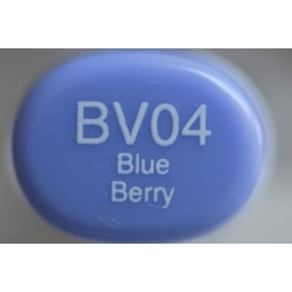 BV 04