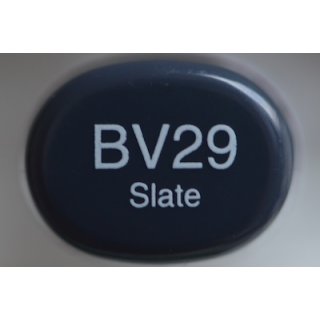 BV 29