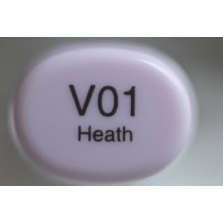 V 01