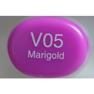 V 05
