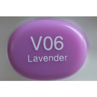 V 06