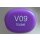 V 09