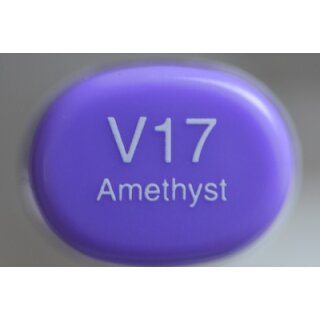 V 17