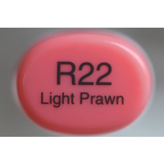 R 22