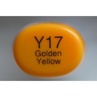 Y 17