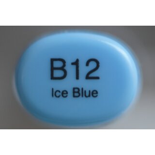 B 12