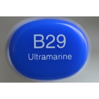 B 29