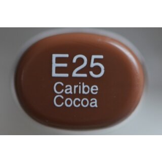 E 25